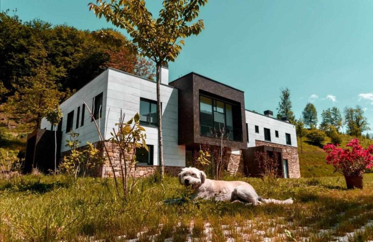 Bergaretxe Geltokia Διαμέρισμα Legazpia Εξωτερικό φωτογραφία